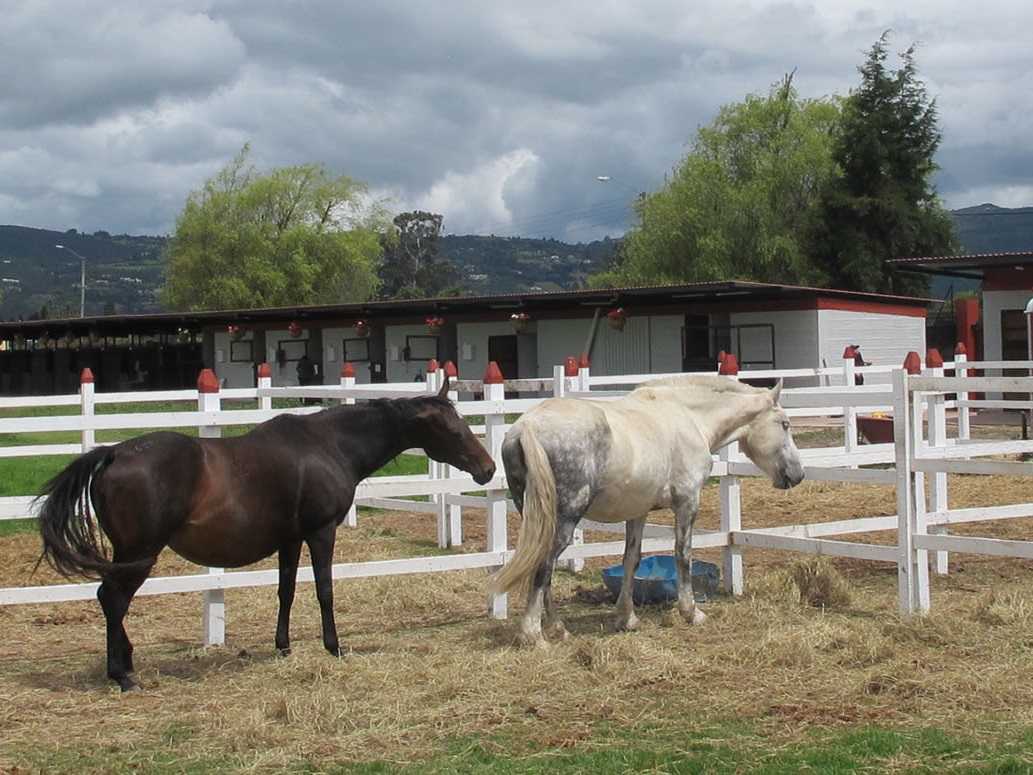 antrooms cajica caballeriza